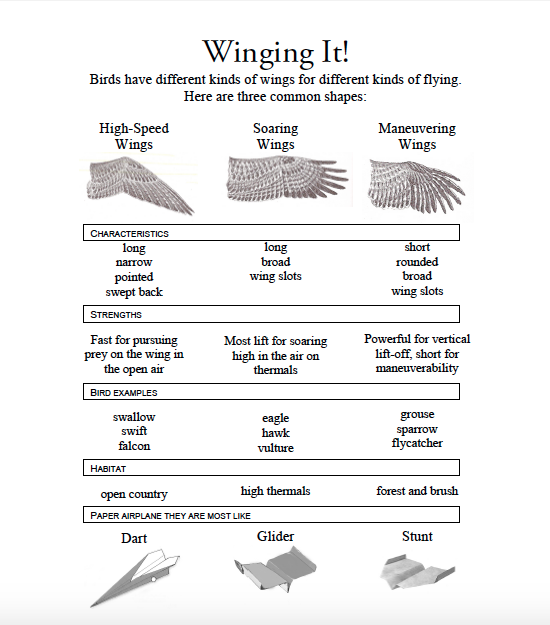 Bird Feather Chart